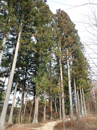 20181127_01.JPG