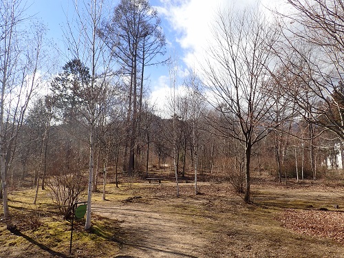 20190109_03.JPG