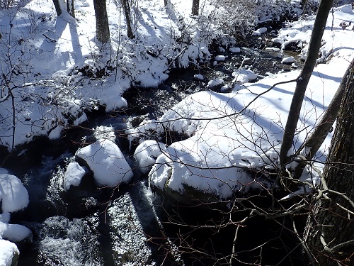 20190204_01.JPG
