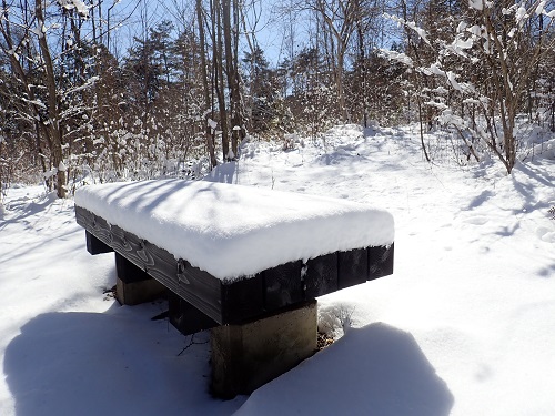 20190204_02.JPG