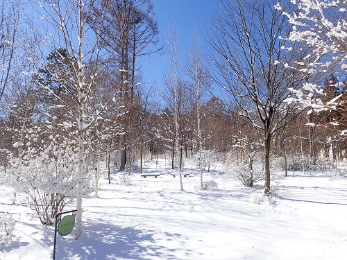 20190204_03.JPG
