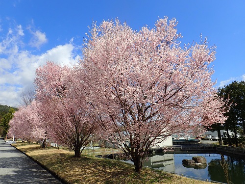 20190415_01.JPG