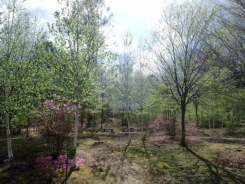 20190426_011.JPG