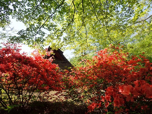 20190514_02.JPG