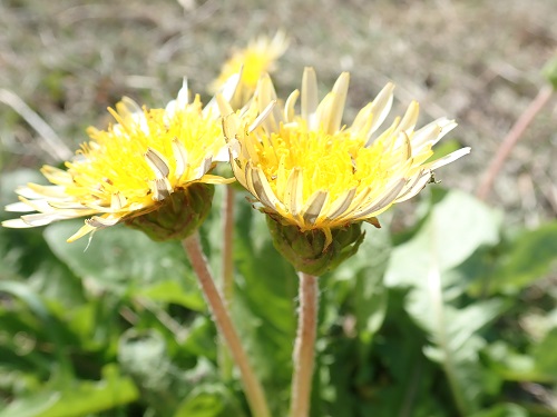 20190520_01.JPG