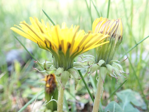 20190520_02.JPG
