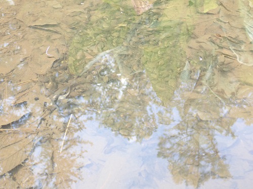 20190520_25.JPG
