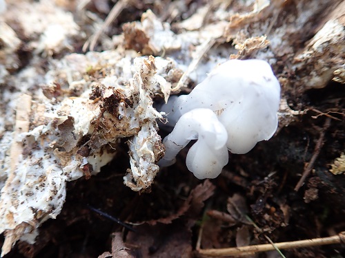 20190520_41.JPG