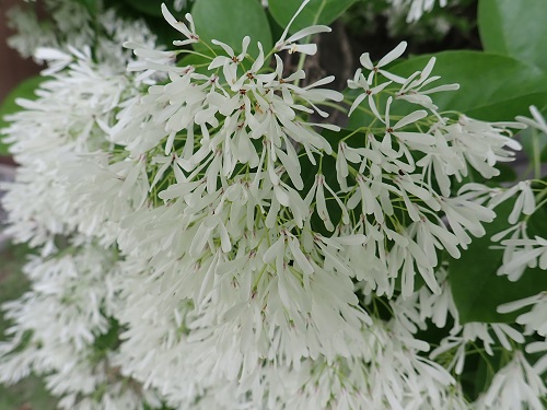 20190528_02.JPG