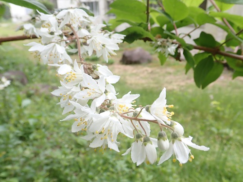20190612_16.JPG