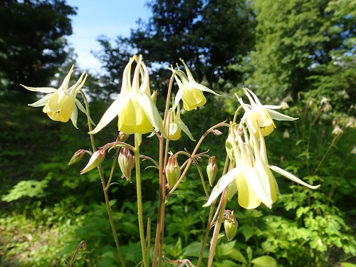 20190613_04.JPG