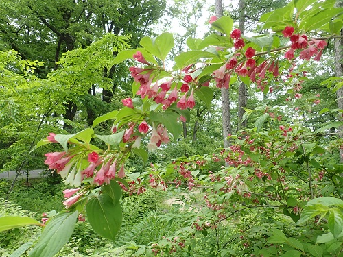 20190618_23.JPG