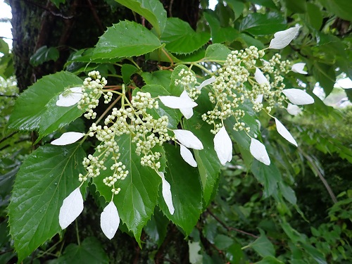 20190628_03.JPG