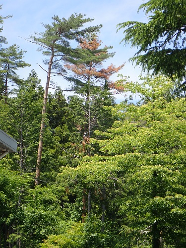 20190628_32.JPG