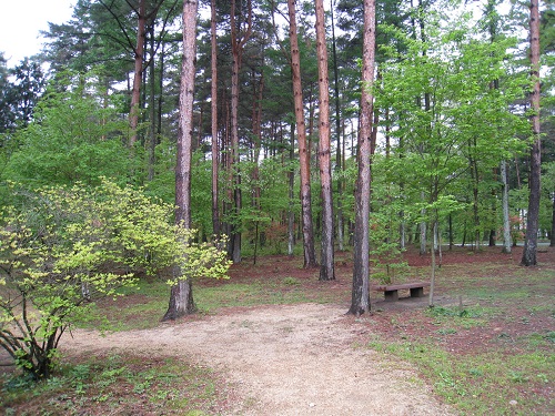 20190628_33.jpg