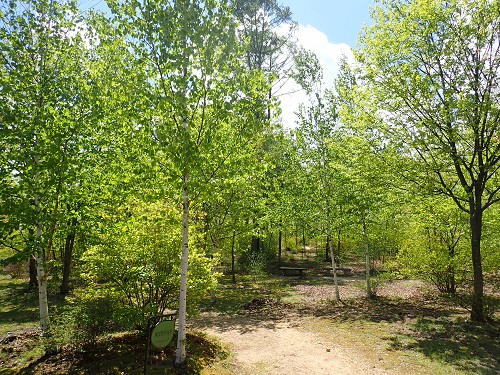 20190628_34.JPG