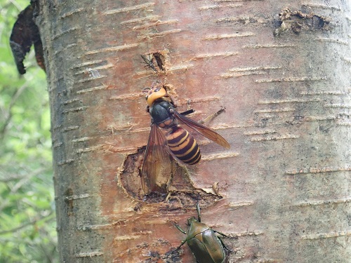 20190726_13.JPG