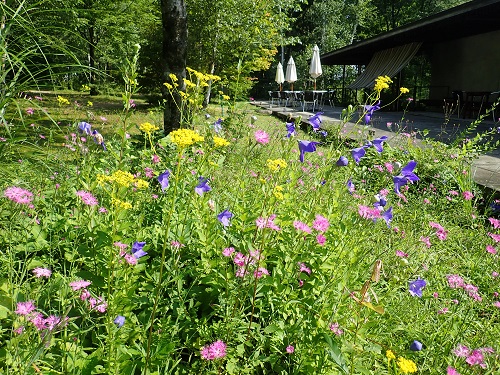 20190801_03.JPG