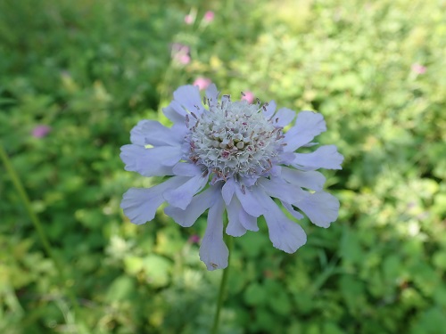 20190801_07.JPG