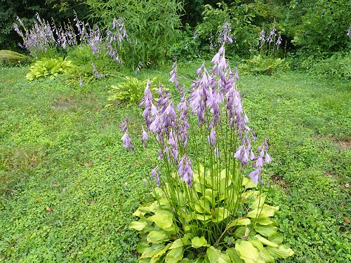 20190819_00.JPG
