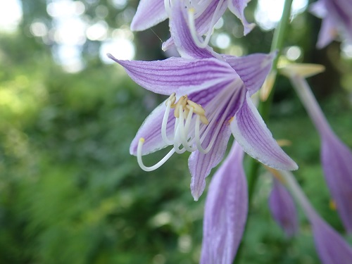 20190819_02.JPG