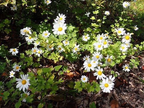 20191018_03.JPG
