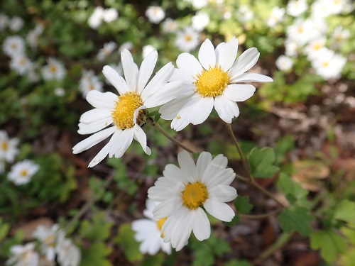 20191018_04.JPG