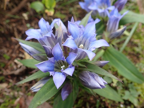 20191018_05.JPG