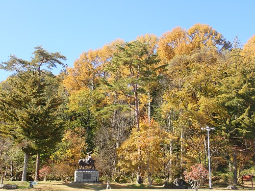 20191114_01.JPG
