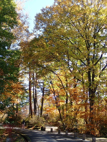 20191114_02.JPG