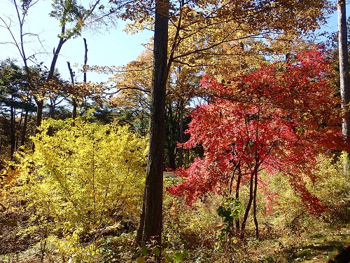 20191114_05.JPG