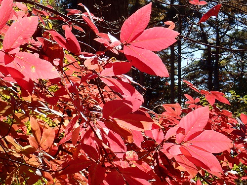 20191114_06.JPG