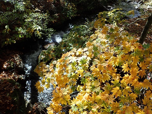 20201120-24.JPG