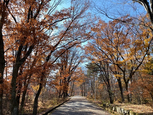 20201120-31.jpg