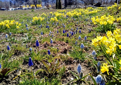 IMG_20190409_103818.jpg