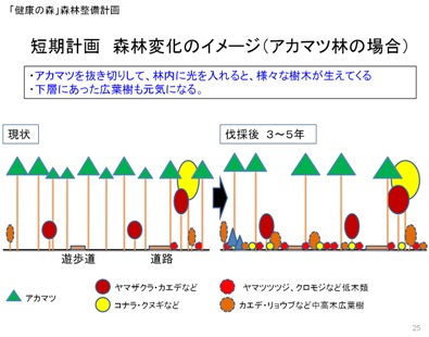 短期計画