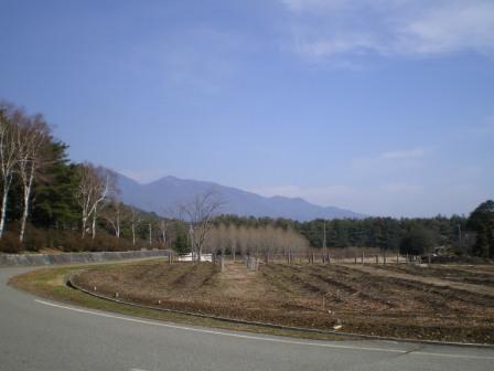 四季咲きの丘