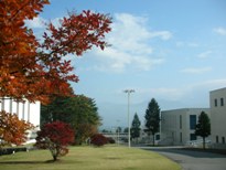 見下ろし工場