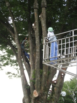 作業中