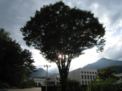 作業後