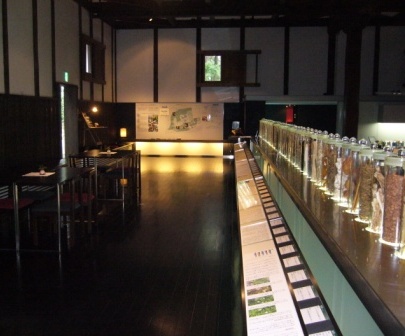 20080906_02.JPG