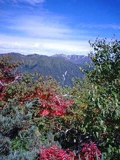 鮮やかな紅葉が♪