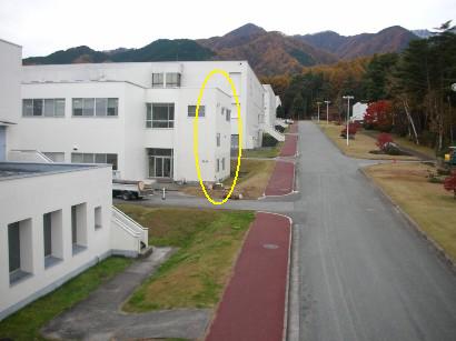 ここ