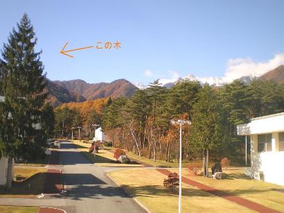 20081112_04.JPG