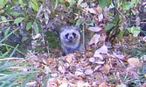 20091109_01.jpg