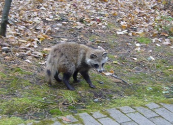20091110_02.JPG