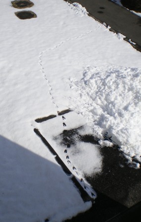 2009_0304_1.JPG