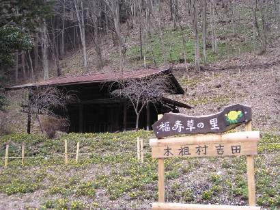 福寿草の里