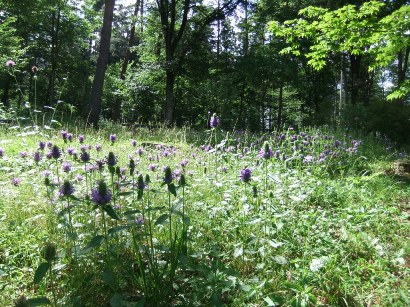 20110629_01.JPG