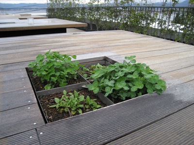 屋上庭園の植栽マス　その２